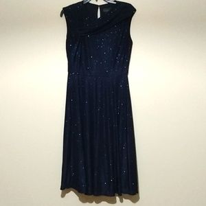 Covington Glitter Slinky Knit Dress Size 10 Navy